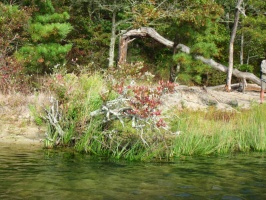 Cliff Pond IMG 4063